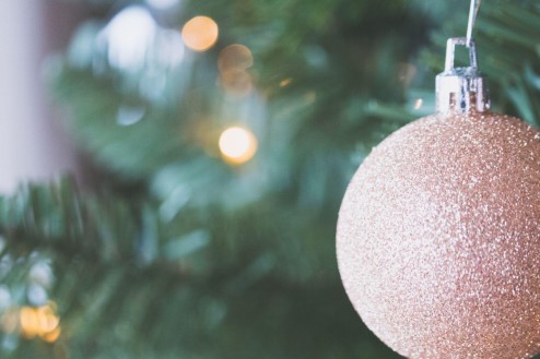 Find Beautiful Christmas Trees for Sale